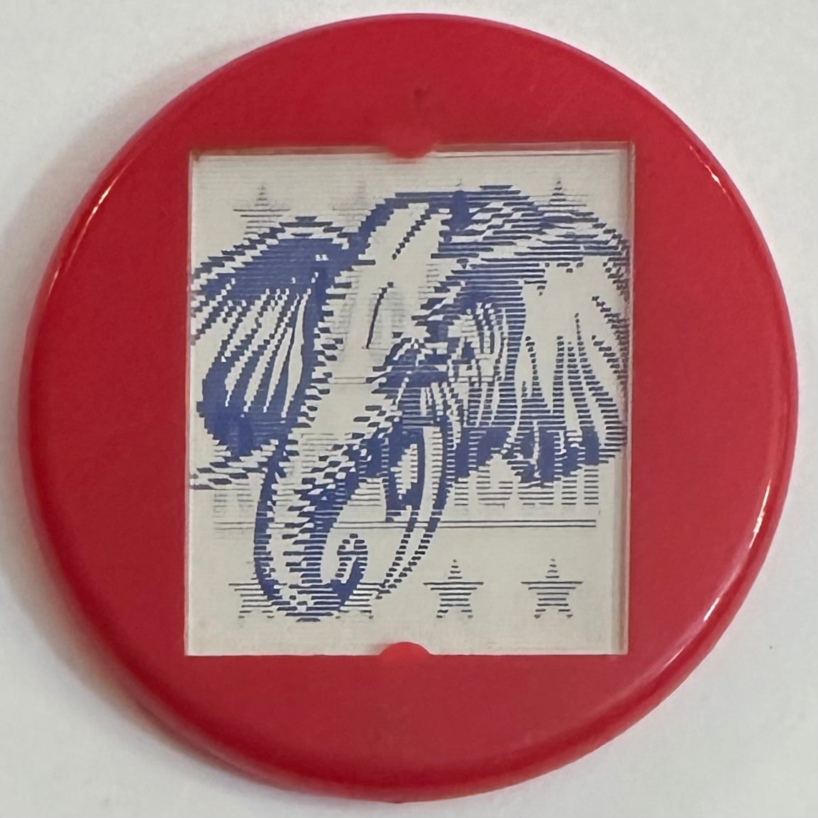 Vote Republican Flasher