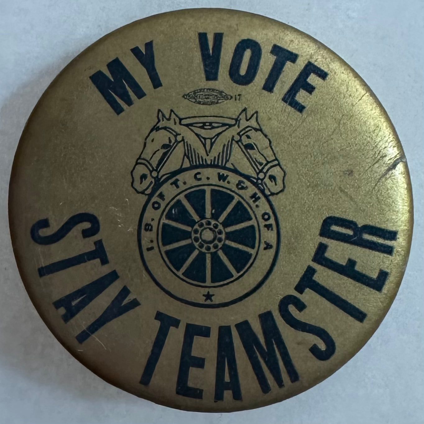 My Vote Stay Teamster