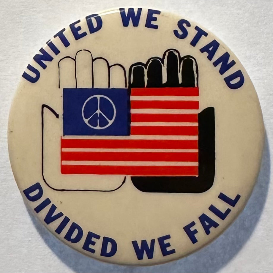 United We Stand, Divided We Fall (Vietnam x Civil Rights)