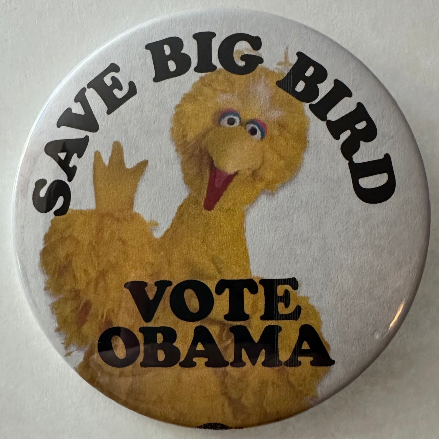 Save Big Bird Vote Obama
