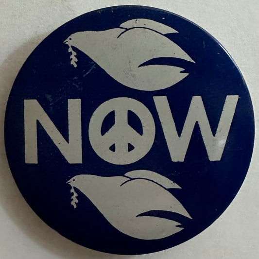 Peace Now Vietnam