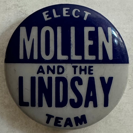 Mollen and Lindsay Team, NY Local
