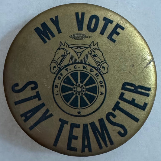 My Vote Stay Teamster